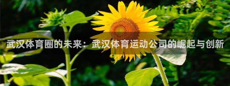 德国意昂集团