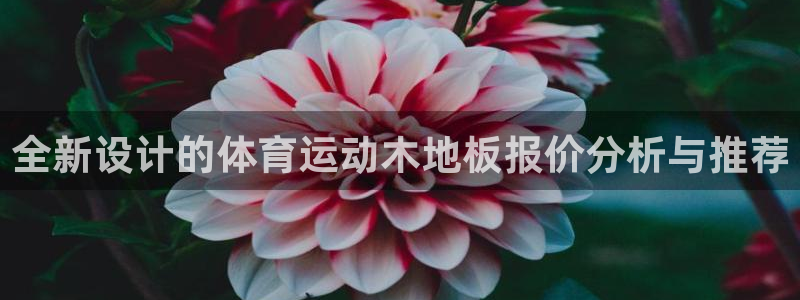 意昂4代理