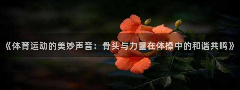 意昂体育在线注册