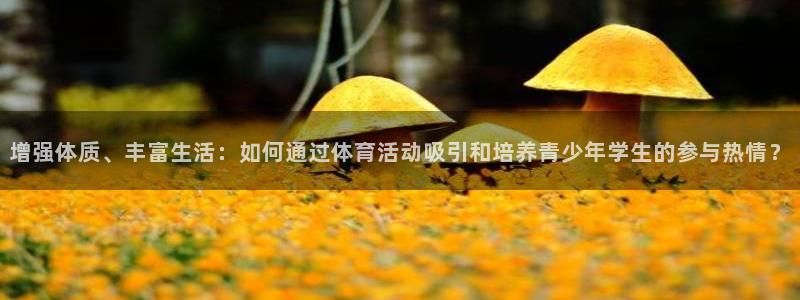 意昂体育热门赛事有哪些