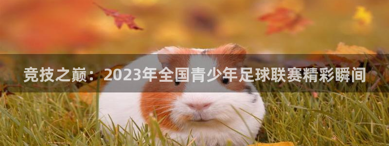 意昂体育注册