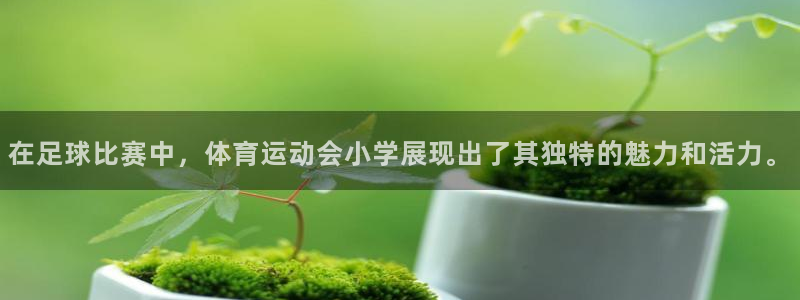 意昂2体育登录入口