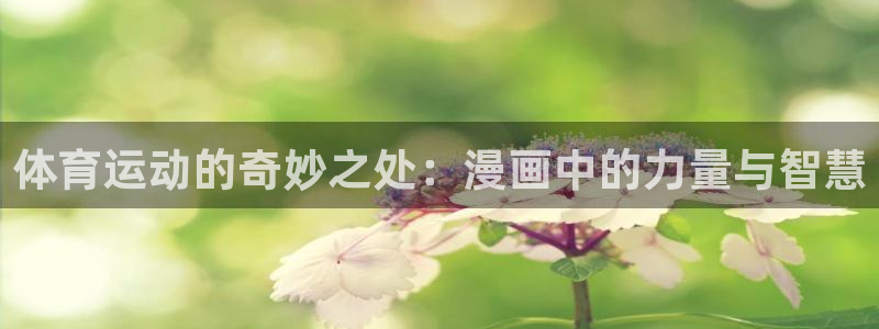 意昂体育平台开号链接