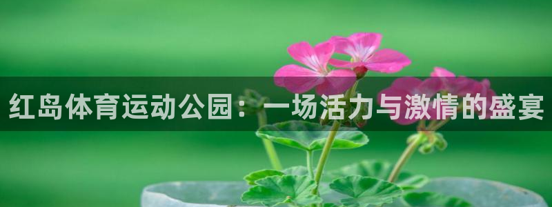 意昂体育凯捷平台招商